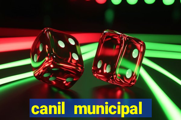 canil municipal porto alegre